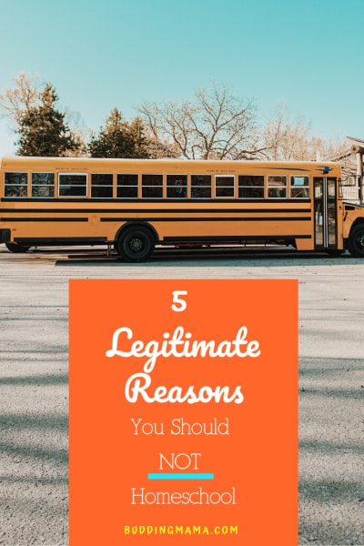 reasons to homeschool why you should buddingmama school bus public school private