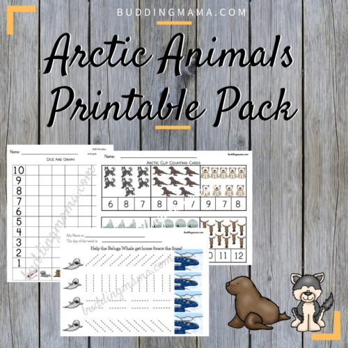 arctic animals unit study printable pack for pre k kindergarten and toddlers