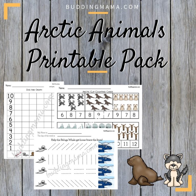 Arctic Animals Unit Study – Budding Mama