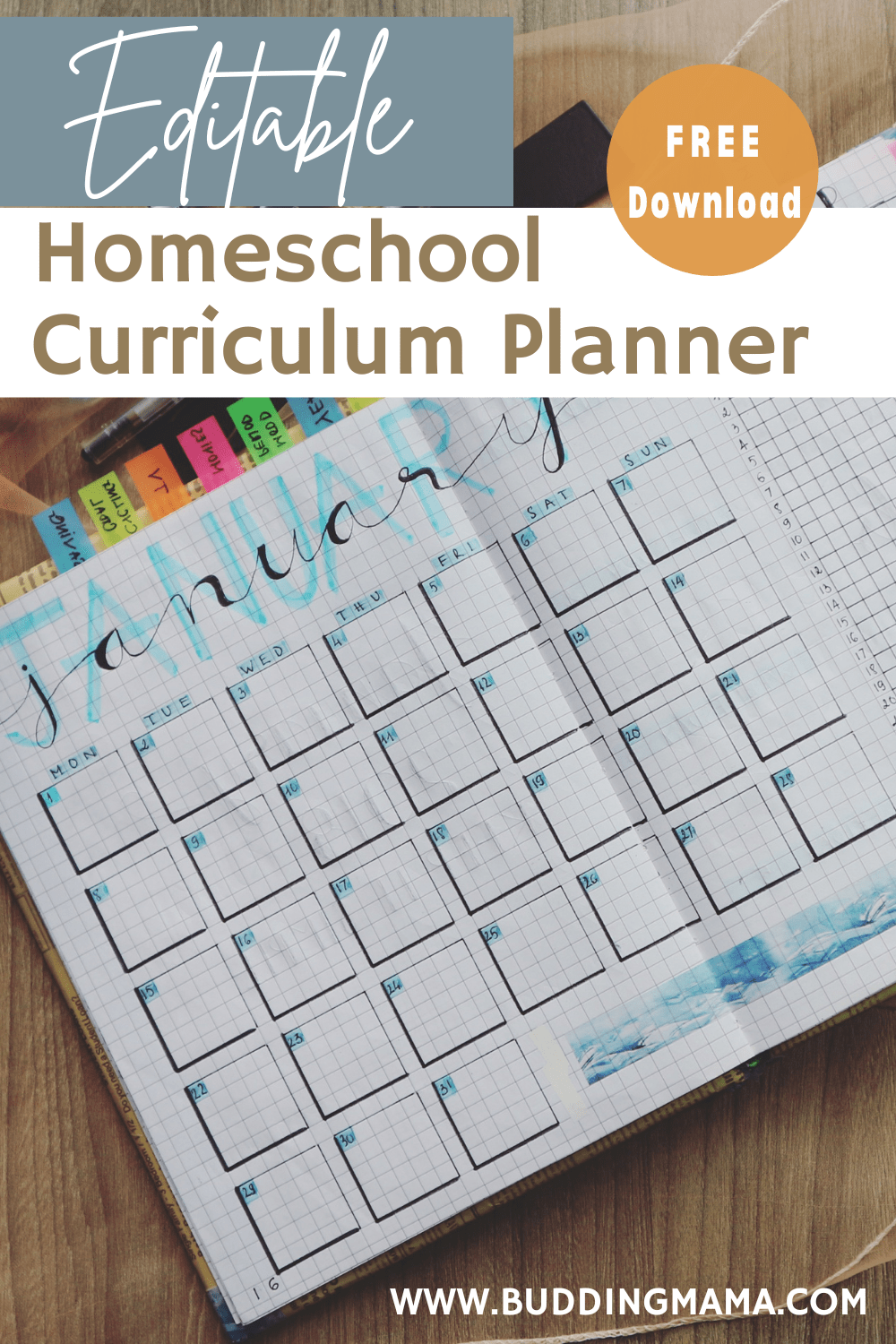 Editable Homeschool Curriculum Planner for Moms Free Download Pin