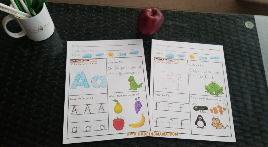 Free Alphabet Daily Worksheet Printables for  Preschool & Kindergarten
