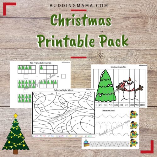 Perfect for your Christmas holiday curriculum and offering you a low-prep option. This printable pack has over 60 pages of activities for children based on several subjects.