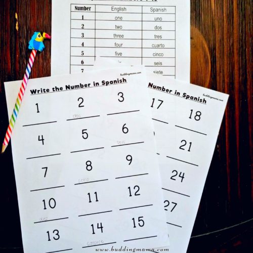 Spanish Numbers 1-30 Printable Pack – Budding Mama