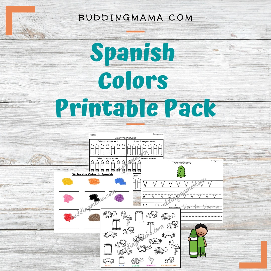Spanish Colors Printable Pack Budding Mama
