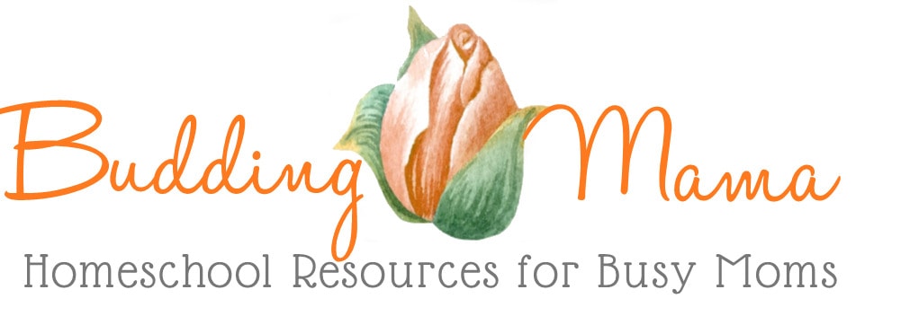 budding mama logo orange rose flower bud homeschool resources for busy momsbudding mama lo