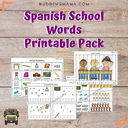spanish back to school vocabulary learn another language