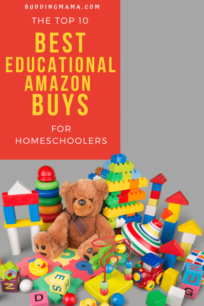 10 Of The Best Amazon Buys For Homeschoolers – Budding Mama