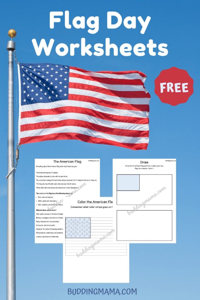 Falg day graphic about why the American flag is important with a free printable to teach students