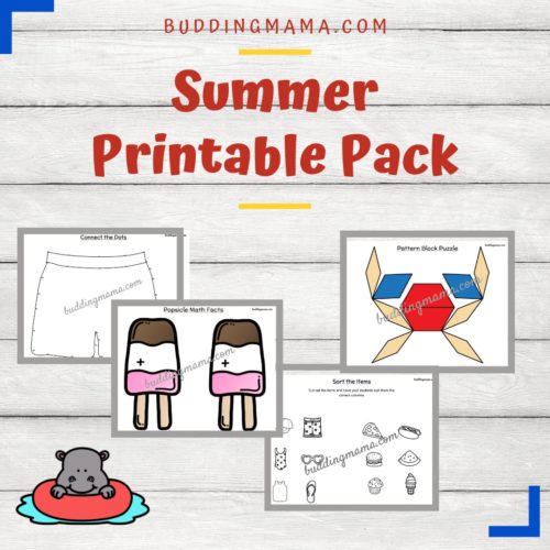 Summer Printable Pack filled over 45 pages of amazing activities and is a curriculum booster.