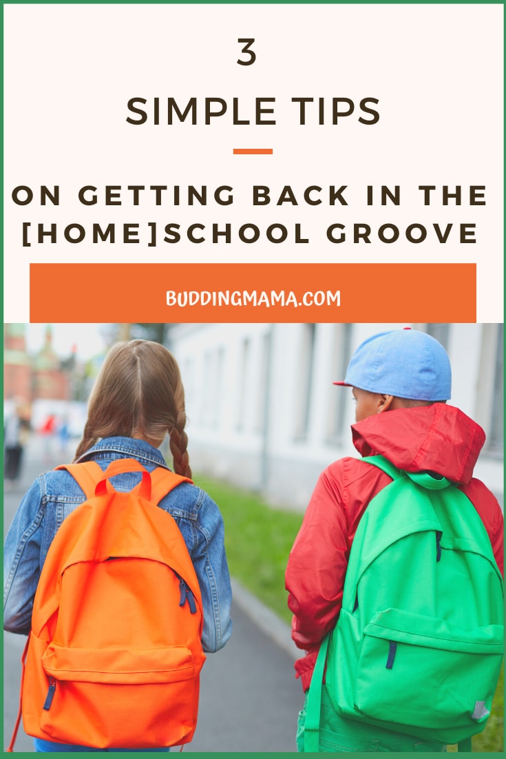 3 tips that are simple and easy to use to help you get back in the homeschool groove after a break or during a lull from Budding Mama