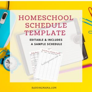 homeschool schedule template that is editable and a sample schedule included buddingmama get organized today