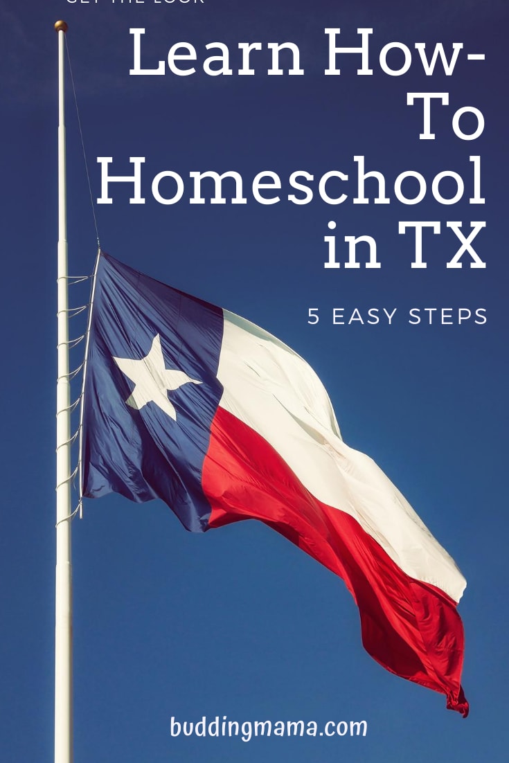 learn how to homeschool in texas in five easy steps buddingmama everything you need to know