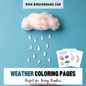 Weather Coloring Book Pages Rainy Day Budding Mama
