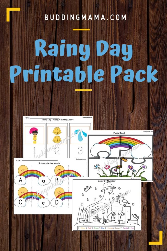 Rainy Day Activities Printable Pack Pin