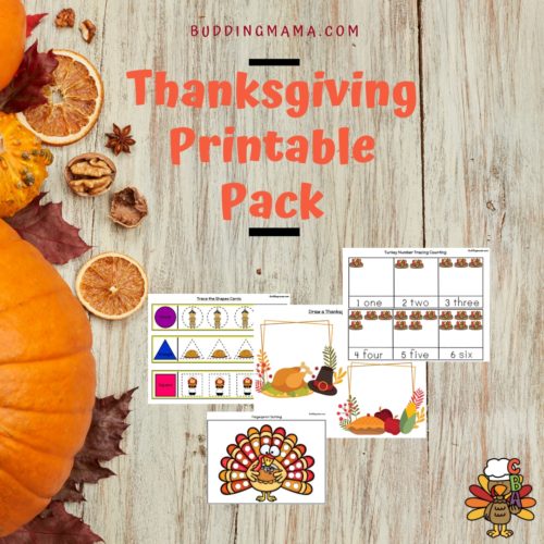 thanksgiving unit study printable pack learn about gratitude and being thanksful 40 pages buddingmama
