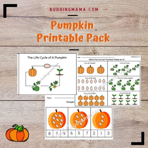 pumpkin printable pack unit study preview 20 pages buddingmama life cycle and counting activities buddingmama