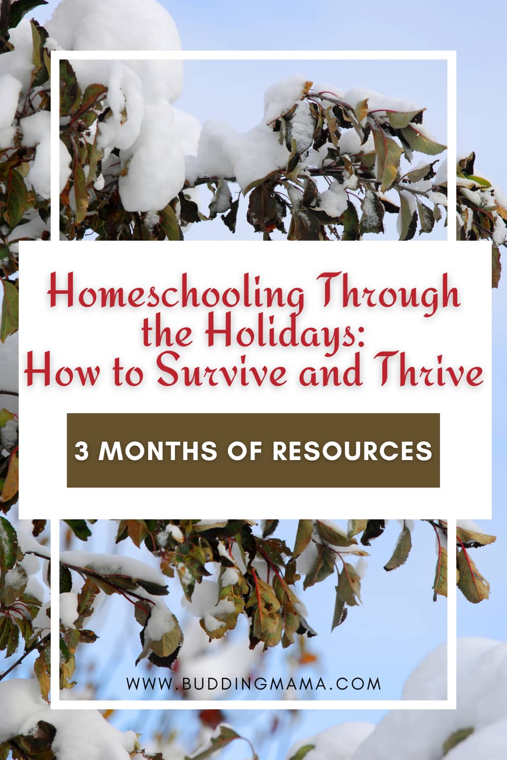 homeschooling through the holidays when busy thanksgiving christmas month to month curriculum resources buddingmama pin