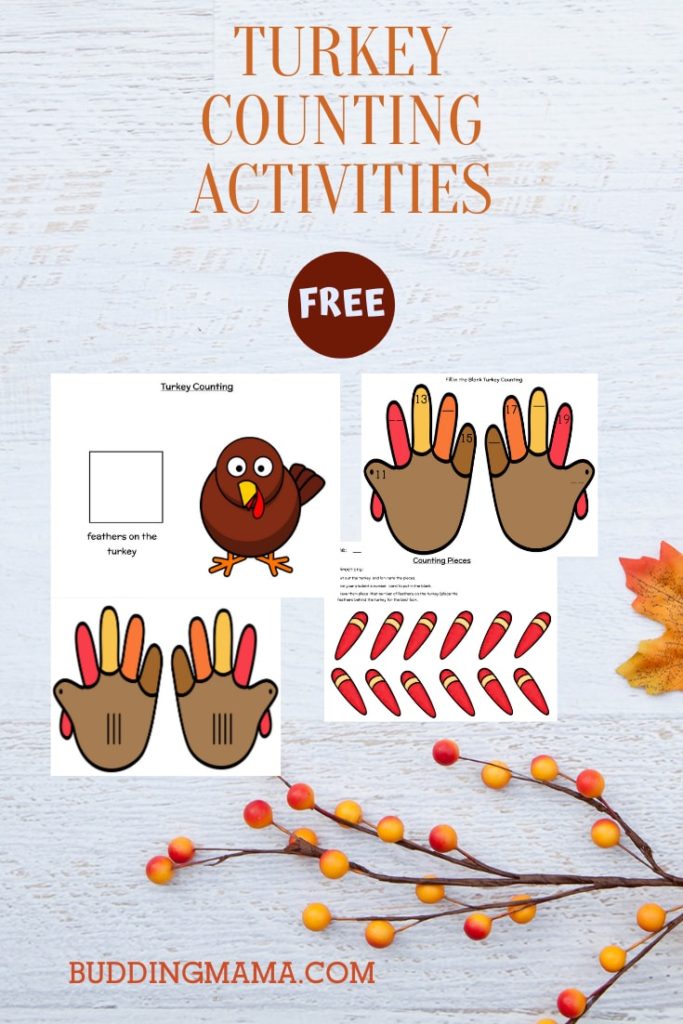 turkey counter worksheets for young students with numbers up to 30 pin