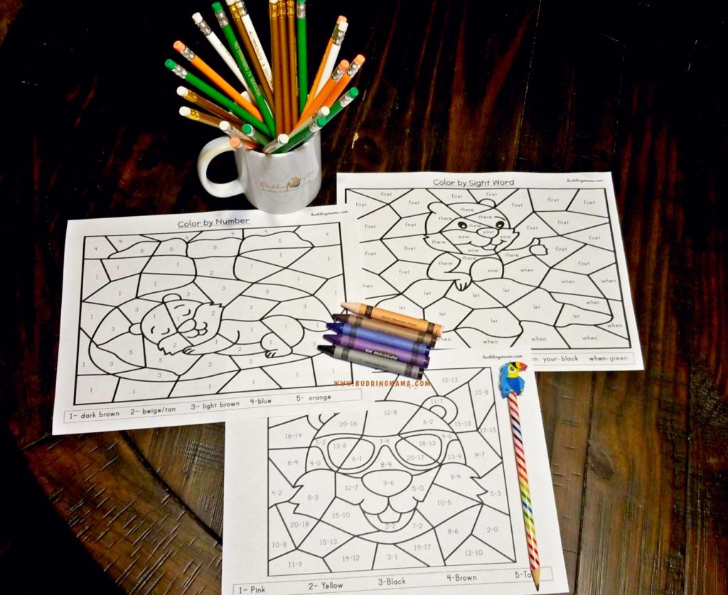 february crafts for kids activities groundhog day color by code pin