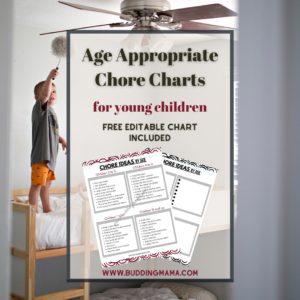 Age Appropriate Chore Charts for Young Children Free Editable Printable FI