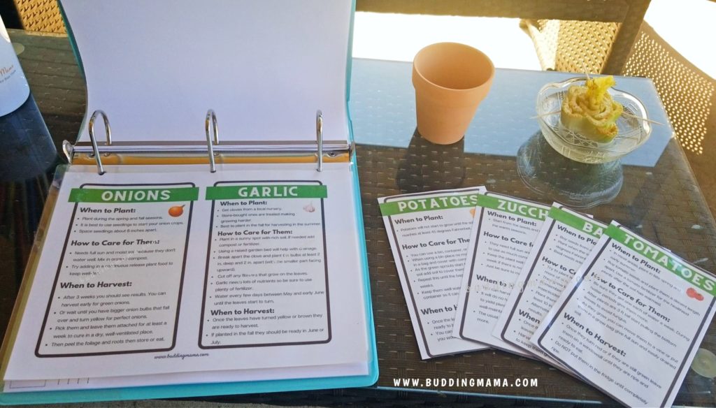 Easy Gardening Project Cards for Kids Free Printable