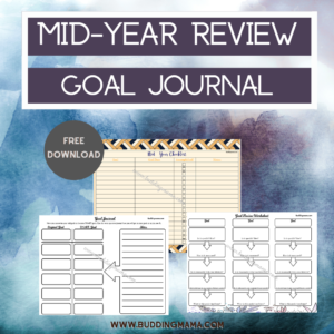 mid year goal planner review journal