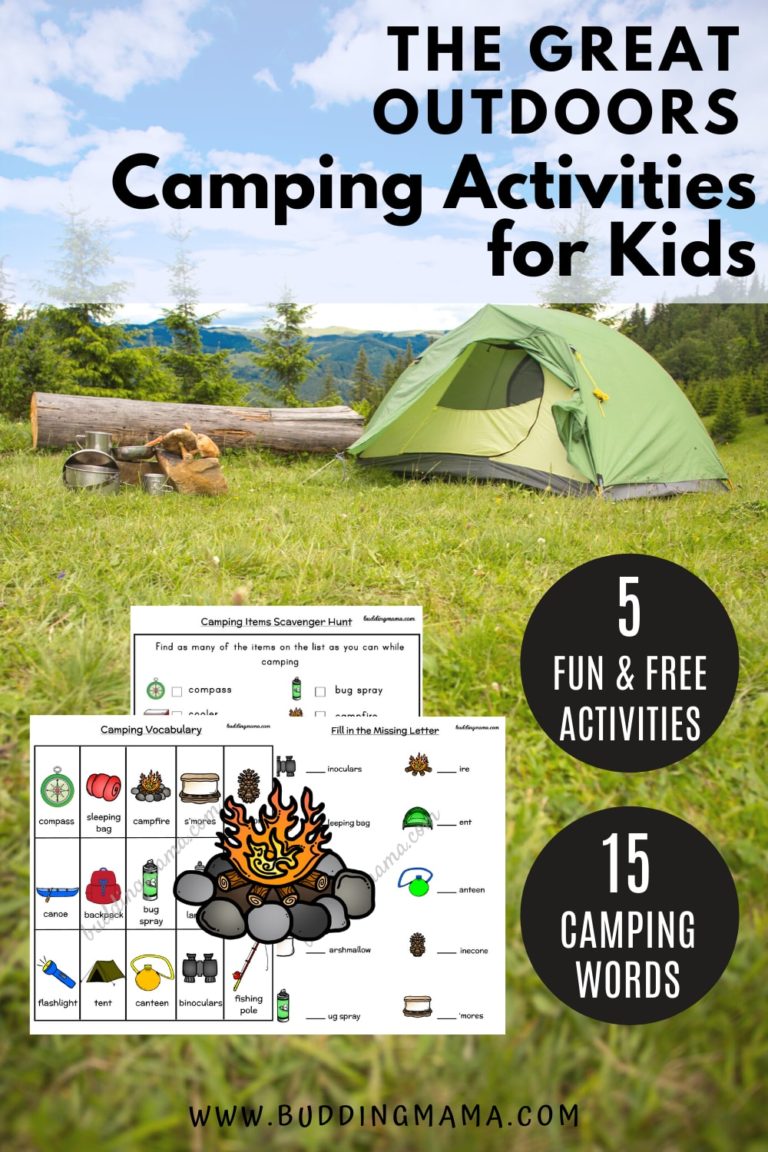 Exploring the Great Outdoors Camping Activities for Kids [FREEBIE ...