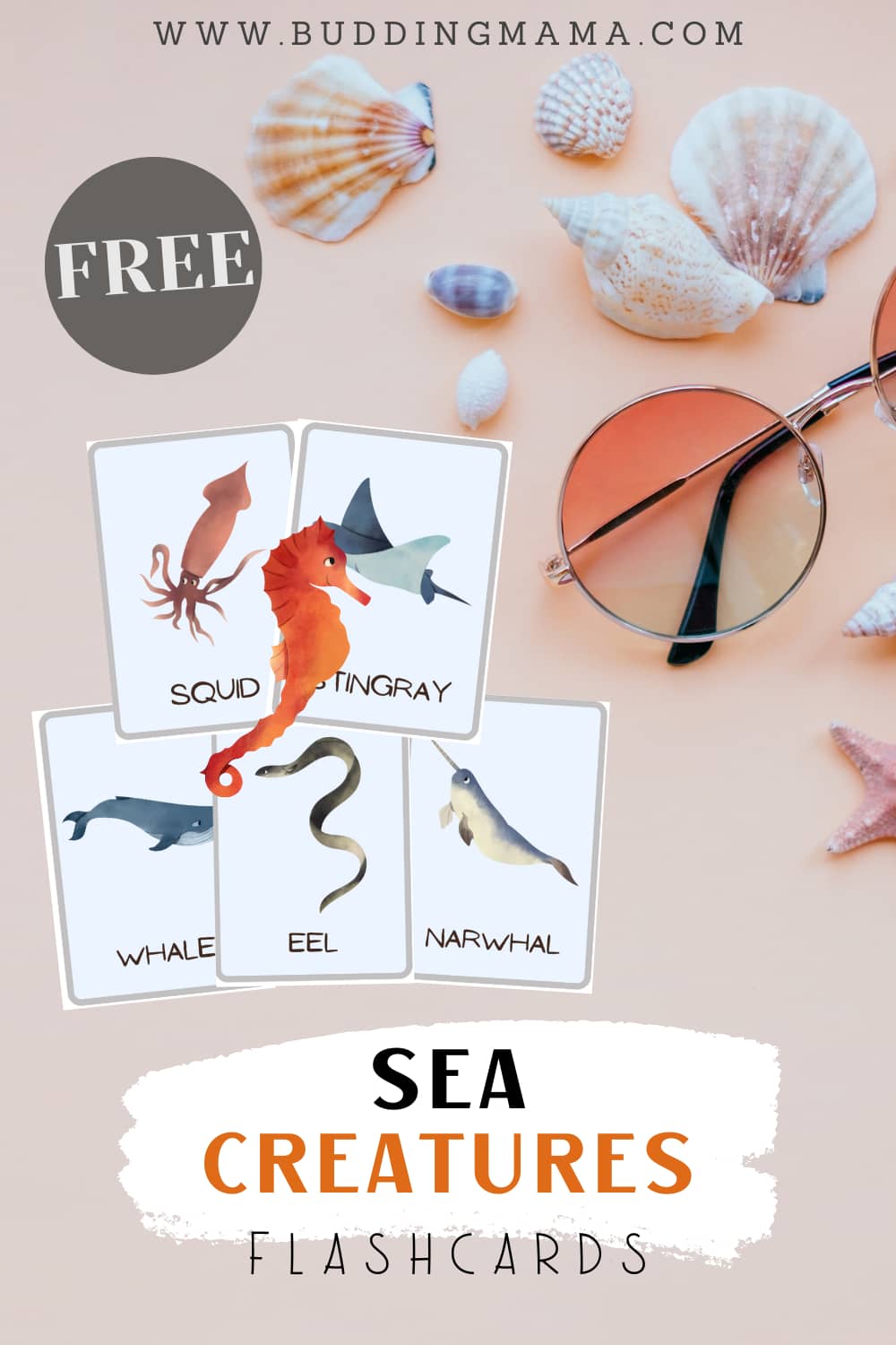 Free Ocean Sea Creatures Flashcards for Pre-K Kindergarten Pin Buddingmama