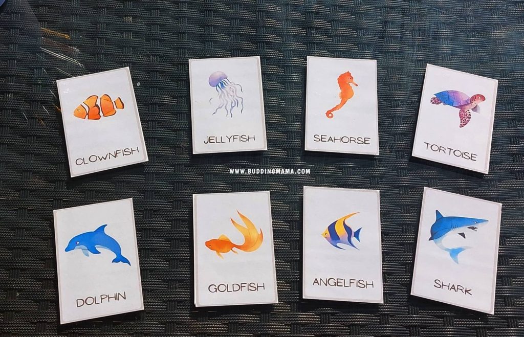 Free Ocean Sea Creatures Flashcards for Pre-K Kindergarten Buddingmama