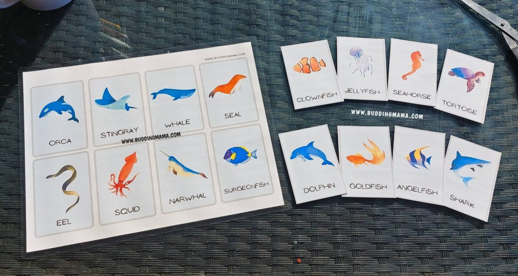 Free Ocean Sea Creatures Flashcards for Pre-K Kindergarten Buddingmama