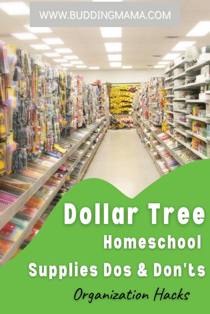 Dollar Tree Homeschool Supplies Dos and Don'ts Organization Hacks Budding Mama
