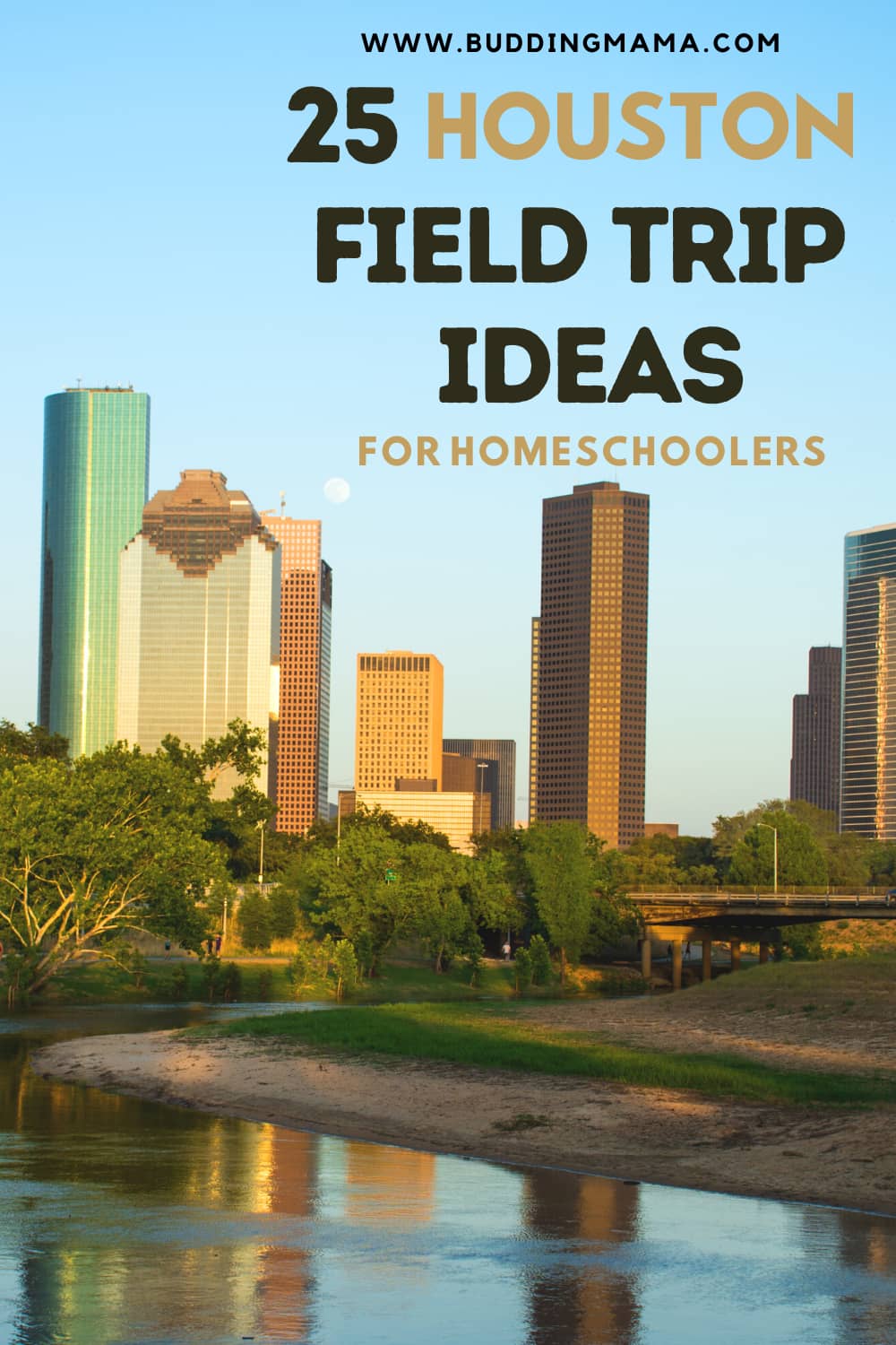 Educational Field Trip Ideas for Homeschoolers Houston Budding Mama