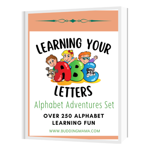 learning letters adventures main graphic book